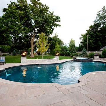 Freeform Pool in Downers Grove, IL