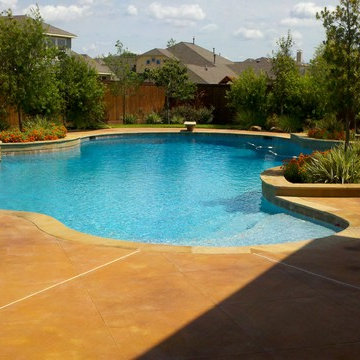 Freeform Pool with Diving Board & Slide
