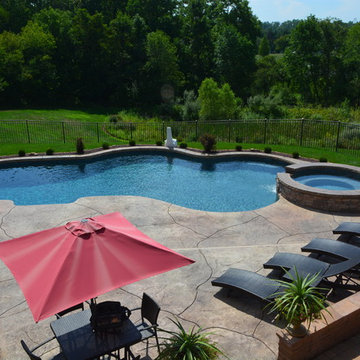 Freeform Style Pool with Raised Spa and Firepit