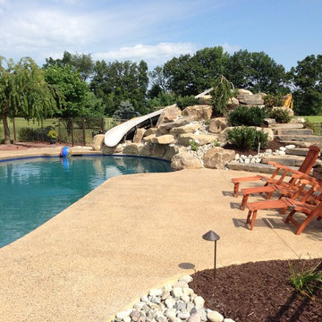 Freeform Style Pool with Raised Spa and Waterslide