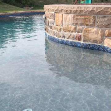 Freeform Style Pool with Raised Spa