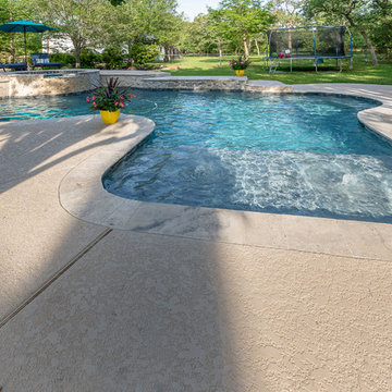 Freeform Style Pool with Spa