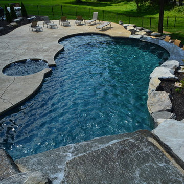 Freeform Style Pool with Waterfall and Waterslide