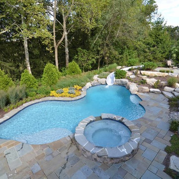 Freeform style salt water pool with raised spa