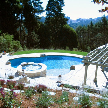 Freeform Swimming pool in the Lafayette, Ca area