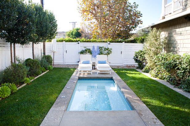 Traditional Pool by Molly Wood Garden Design