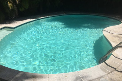 Imagen de piscina tropical de tamaño medio tipo riñón en patio trasero con adoquines de piedra natural