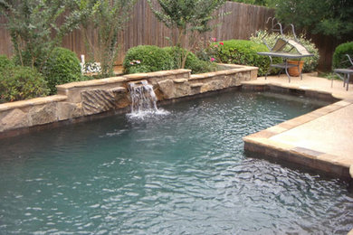 Inspiration for a tropical pool remodel in Dallas