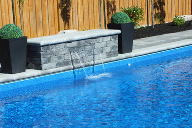 Imagen de piscina natural minimalista en patio trasero