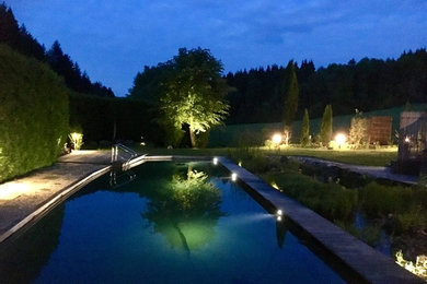 Mittelgroßer Pool neben dem Haus in rechteckiger Form mit Natursteinplatten