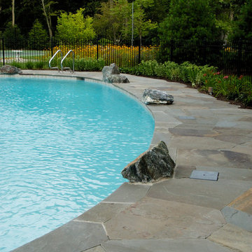 Glenview Freeform Inground Swimming Pool and Spa