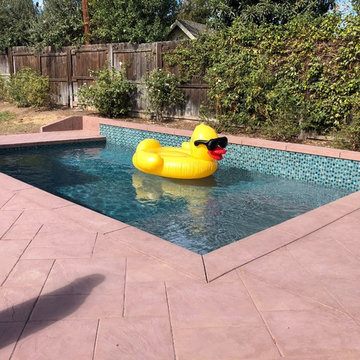 Pool, Baja, Stamped Concrete and Patio Cover