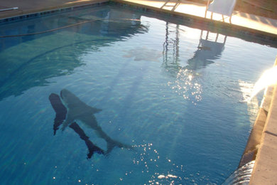 Foto de piscina con tobogán alargada actual grande rectangular en patio trasero con losas de hormigón