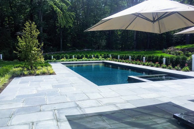 Foto de piscina tradicional renovada grande rectangular en patio trasero