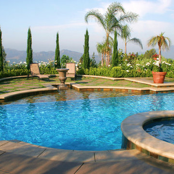 Hacienda Heights Mediterranean Swimming Pool