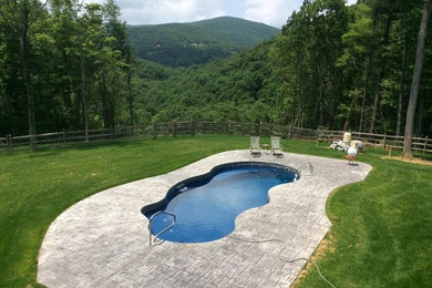 Pool - mid-sized contemporary backyard stone and custom-shaped pool idea in Charlotte