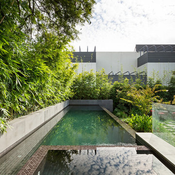 Hawthorn Infinity Lap Pool and Spa