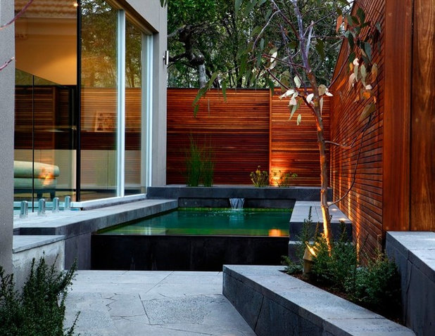 Contemporary Pool by James Dawson Design