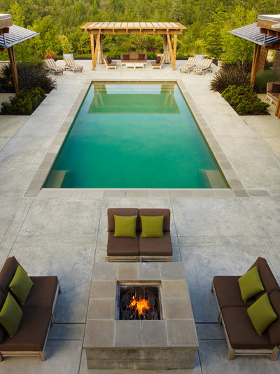 American Traditional Swimming Pool by ROCHE+ROCHE Landscape Architecture