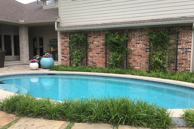 Diseño de piscina alargada clásica renovada de tamaño medio redondeada en patio trasero con adoquines de piedra natural