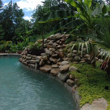 Hidden slide and tropical pool!