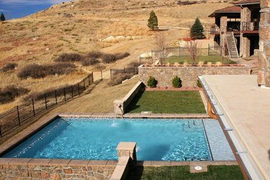 Immagine di un'ampia piscina contemporanea rettangolare dietro casa con una dépendance a bordo piscina e lastre di cemento