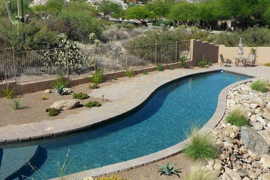 Pool - mid-sized contemporary backyard concrete paver and custom-shaped natural pool idea in Phoenix