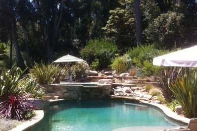 Inspiration for a tropical pool remodel in Los Angeles