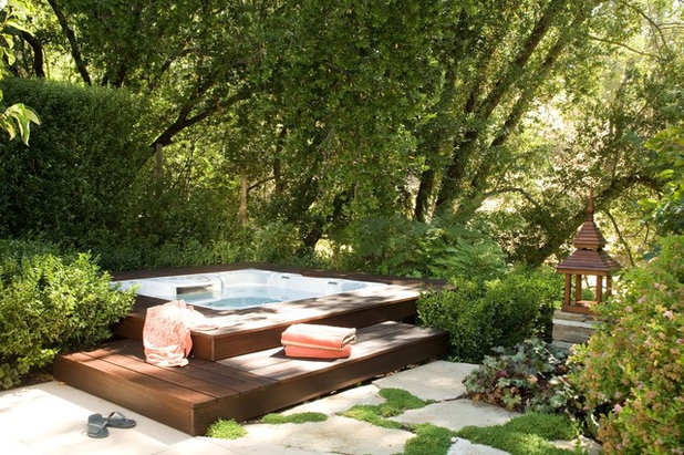 Traditional Pool by Christopher Hoover - Environmental Design Services