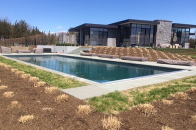 Ejemplo de piscina contemporánea grande en forma de L en patio trasero con adoquines de hormigón