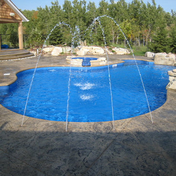 Humpback Haven Pool Design
