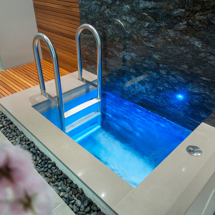 Cold Plunge Pool Ideas Photos & Ideas Houzz