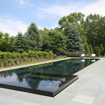 Infinity Edge, Negative Edge, Vanishing Edge and Rimless Pools