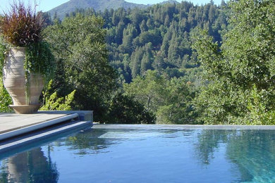 This is an example of a contemporary swimming pool in San Francisco.