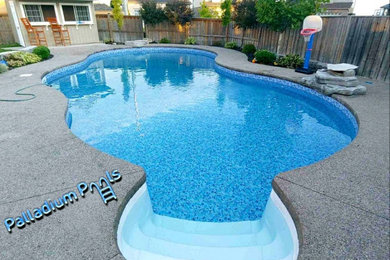 Palladium Pools St Catharines On Ca L2p 2b7 Houzz