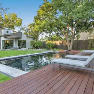 Foto di una piscina naturale minimalista rettangolare dietro casa con fontane e pedane