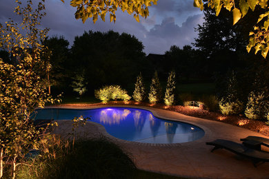Diseño de piscina natural tradicional renovada de tamaño medio a medida en patio trasero con suelo de hormigón estampado
