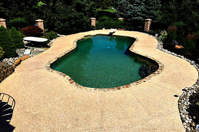 Diseño de piscina natural rural extra grande a medida en patio trasero con losas de hormigón