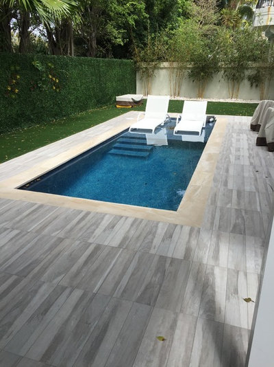 Contemporary Swimming Pool by Somar Pools