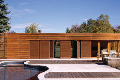 Idéer för en stor modern pool på baksidan av huset, med naturstensplattor