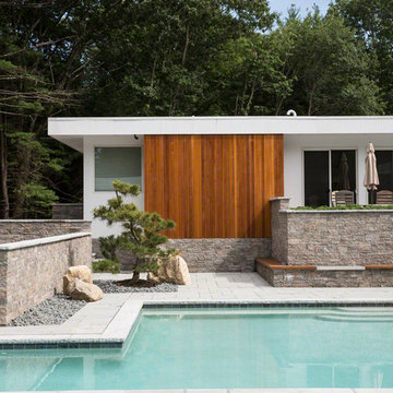 Krishnan Residence and Pool House