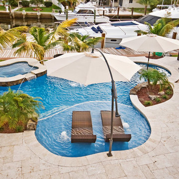 Lagoon/Freeform Pool With Sun Shelf and Bar Area in Fort Lauderdale