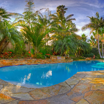 Lagoon Pool with Water-feature - Leucadia, CA