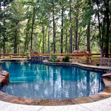 Lagoon Style Pool n a Natural Setting - Houston