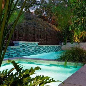 Laguna Hills Pool