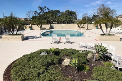 Example of a 1950s pool design in Orange County