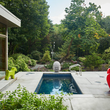 Lakeside Modern #2