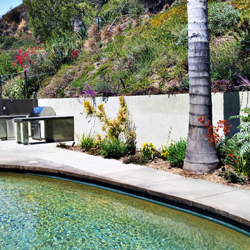 Landscape Architecture | Beverly Hills