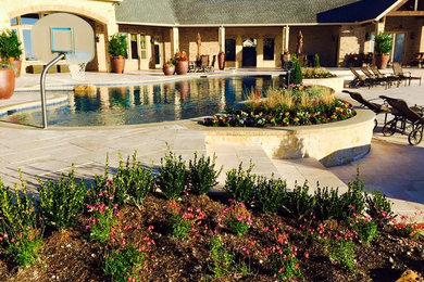 Pool - large transitional backyard stone and custom-shaped pool idea in Dallas