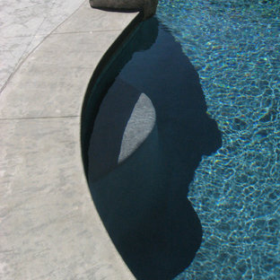 Modelo de piscina retro, de tamaño medio, tipo riñón, en patio trasero, con suelo de hormigón estampado